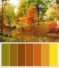 Autumn colors